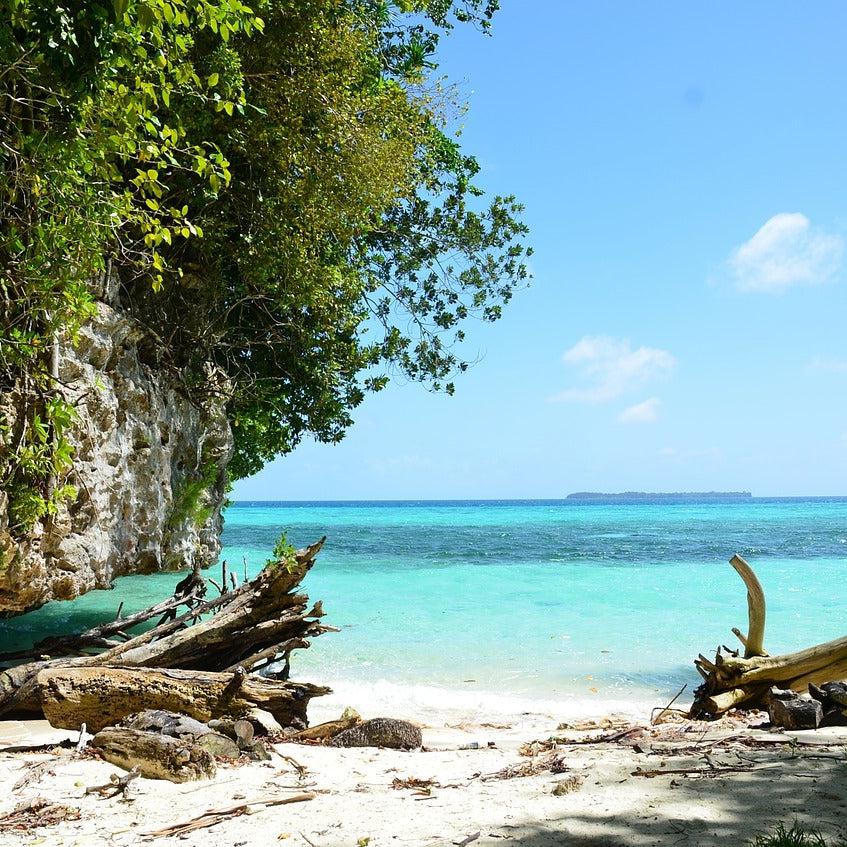 Caribbean Teakwood Status Candle