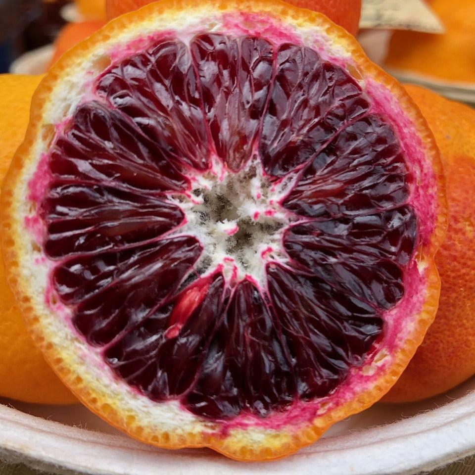 Blood Orange Status Candle