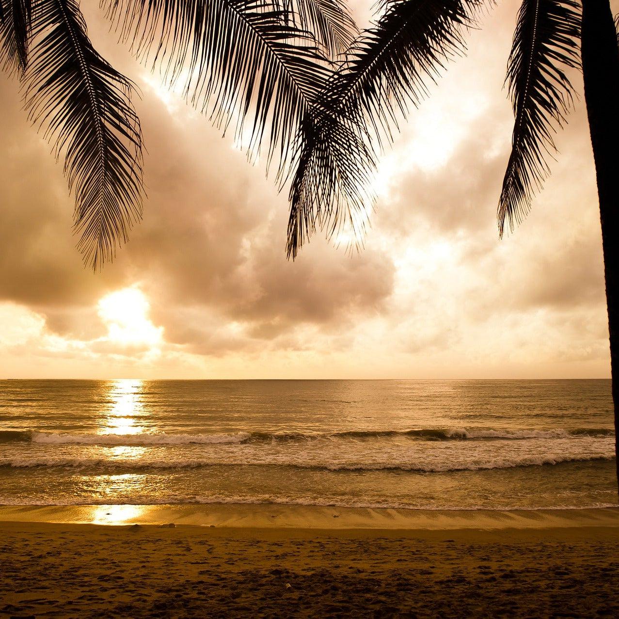 Santal & Coconut Status Candle