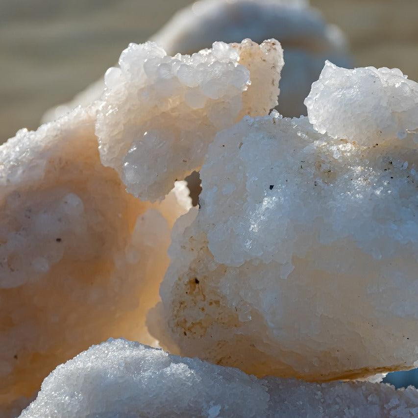 Sea Minerals Status Candle by Gracie Moo Candles, showcasing a soothing candle with a natural sea mineral scent in a decorative holder.